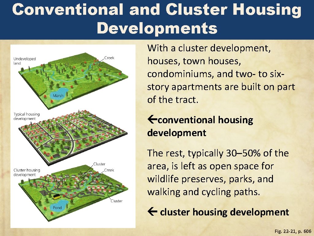 Conventional and Cluster Housing Developments With a cluster development, houses, town houses, condominiums, and Conventional and Cluster Housing Developments With a cluster development, houses, town houses, condominiums, and