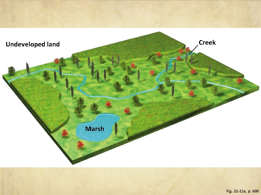 Creek Undeveloped land Marsh Fig. 22 -21 a, p. 606 