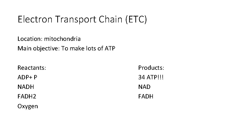 Electron Transport Chain (ETC) Location: mitochondria Main objective: To make lots of ATP Reactants: