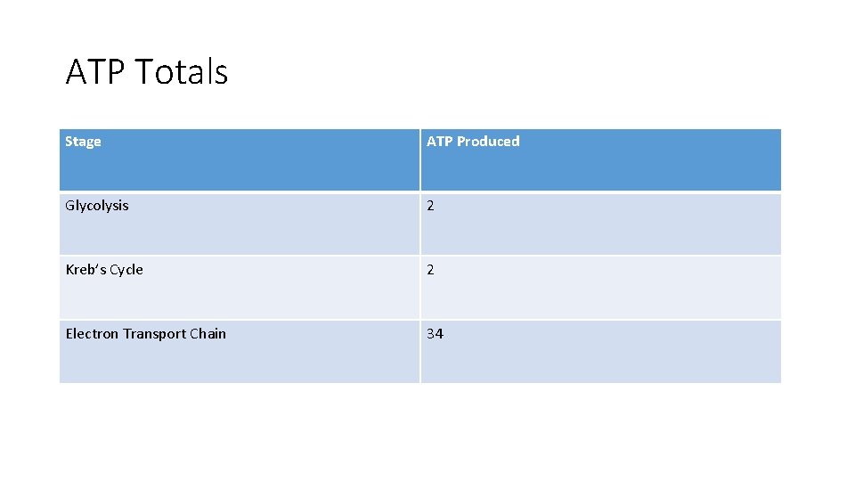ATP Totals Stage ATP Produced Glycolysis 2 Kreb’s Cycle 2 Electron Transport Chain 34