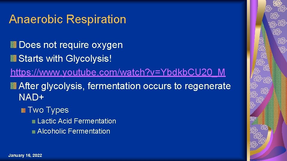 Anaerobic Respiration Does not require oxygen Starts with Glycolysis! https: //www. youtube. com/watch? v=Ybdkb.