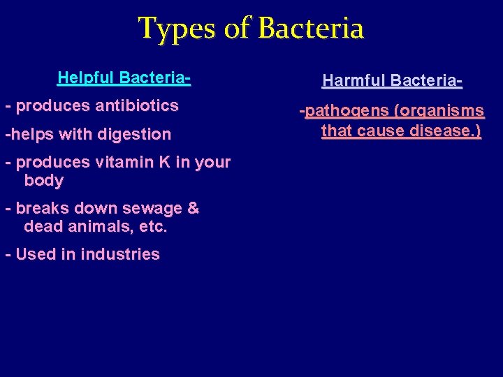 Types of Bacteria Helpful Bacteria- produces antibiotics -helps with digestion - produces vitamin K