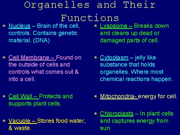 Organelles and Their Functions Nucleus – Brain of the cell, controls. Contains genetic material.