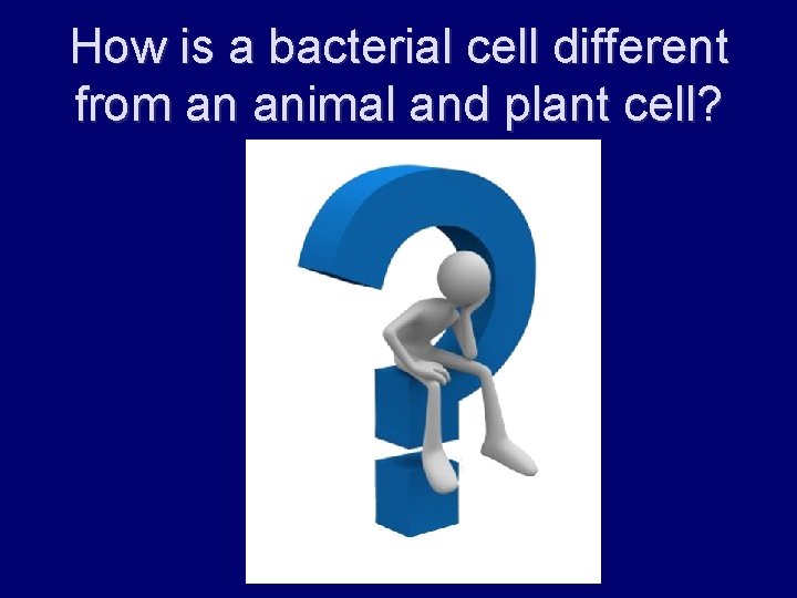 How is a bacterial cell different from an animal and plant cell? 