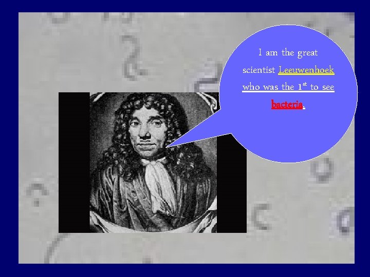 I am the great scientist Leeuwenhoek who was the 1 st to see bacteria.