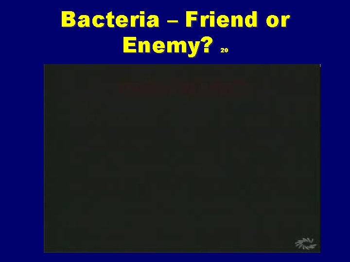 Bacteria – Friend or Enemy? 20 
