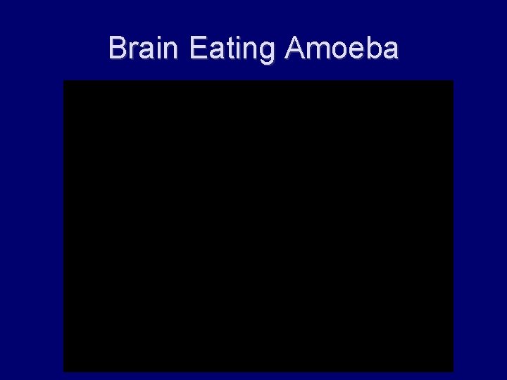 Brain Eating Amoeba 