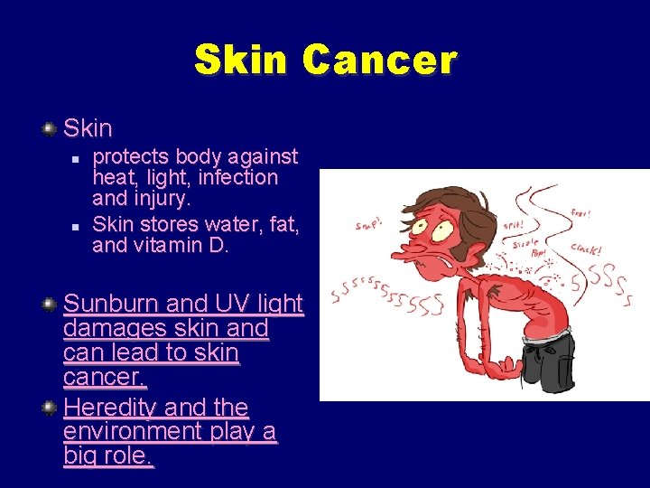 Skin Cancer Skin n n protects body against heat, light, infection and injury. Skin