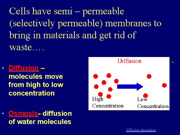 Cells have semi – permeable (selectively permeable) membranes to bring in materials and get
