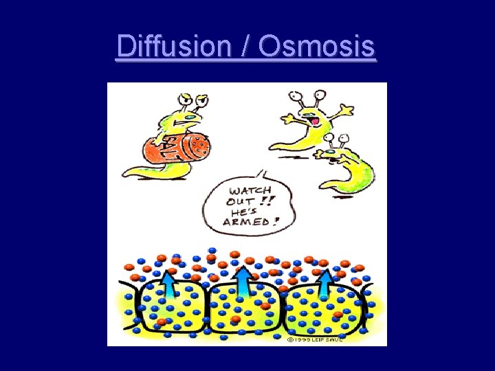 Diffusion / Osmosis 