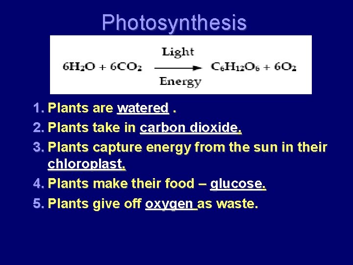 Photosynthesis 1. Plants are watered. 2. Plants take in carbon dioxide. 3. Plants capture