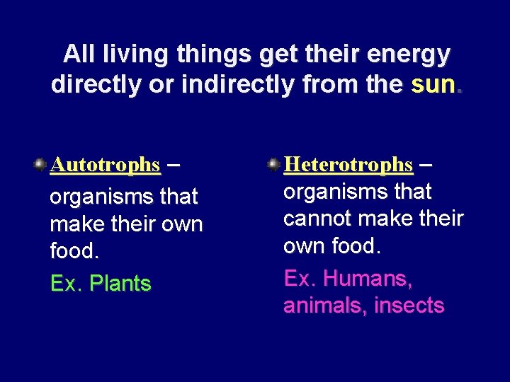 All living things get their energy directly or indirectly from the sun. Autotrophs –