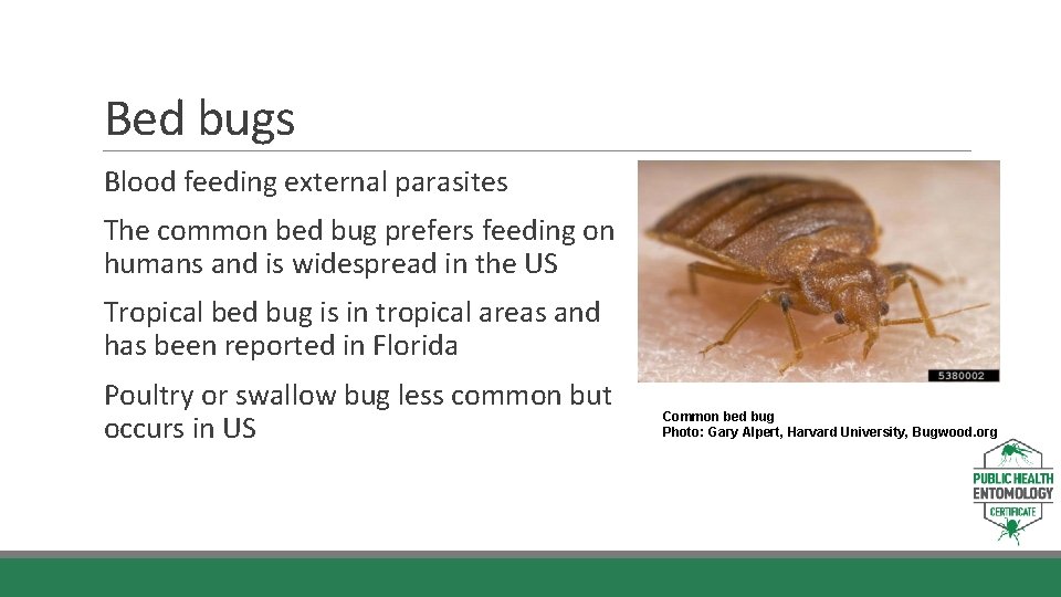 Public Health Entomology Certificate MODULE 3 BITING INSECTS