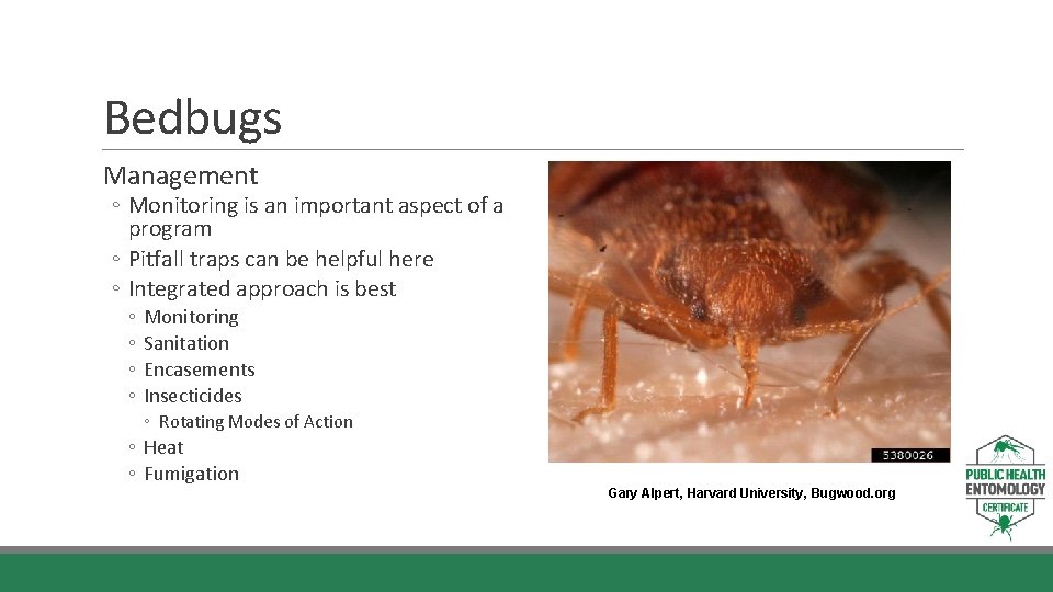 Bedbugs Management ◦ Monitoring is an important aspect of a program ◦ Pitfall traps