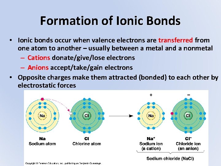 Formation of Ionic Bonds • Ionic bonds occur when valence electrons are transferred from