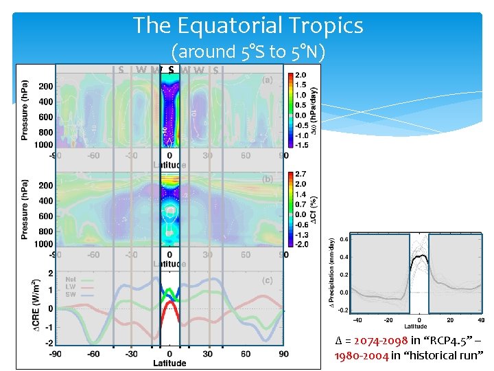 The Equatorial Tropics (around 5°S to 5°N) S W W S WW S ∆