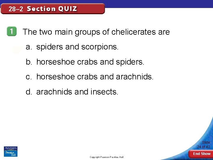 28– 2 The two main groups of chelicerates are a. spiders and scorpions. b.