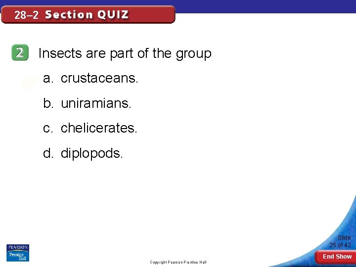 28– 2 Insects are part of the group a. crustaceans. b. uniramians. c. chelicerates.