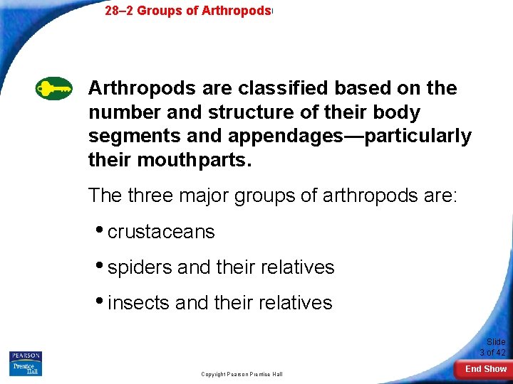 28– 2 Groups of Arthropods are classified based on the number and structure of