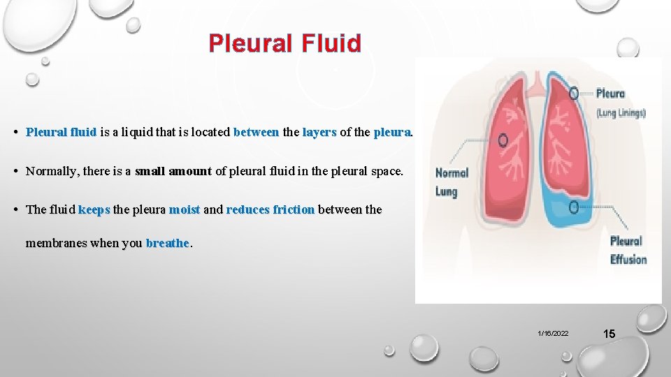 Pleural Fluid • Pleural fluid is a liquid that is located between the layers