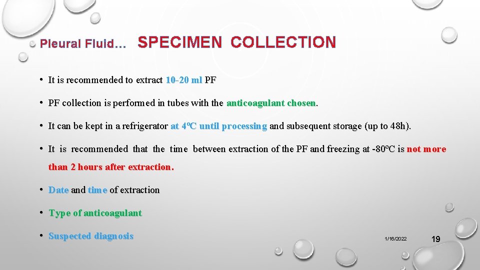Pleural Fluid… SPECIMEN COLLECTION • It is recommended to extract 10 -20 ml PF