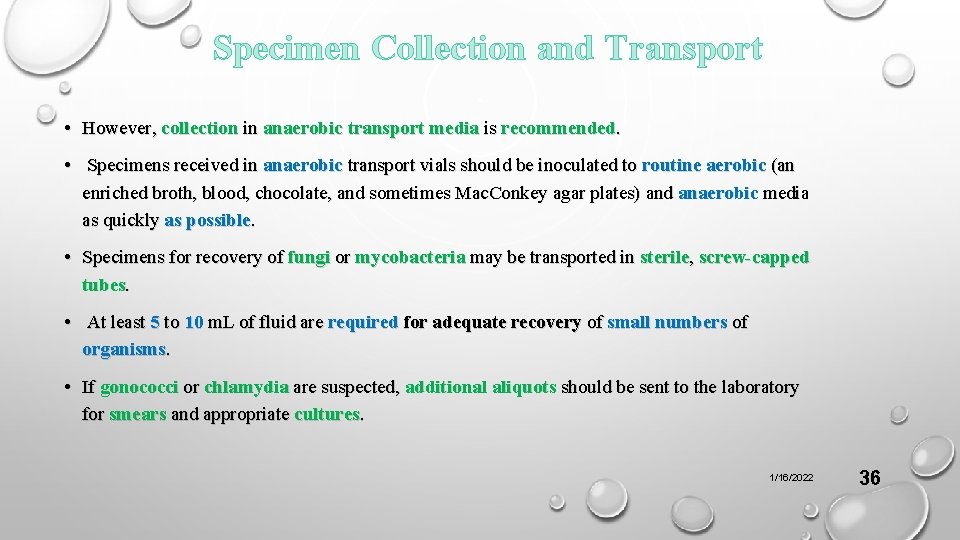 Specimen Collection and Transport • However, collection in anaerobic transport media is recommended. •