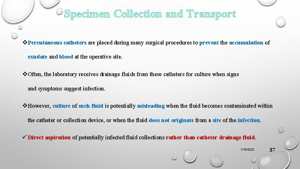 Specimen Collection and Transport v Percutaneous catheters are placed during many surgical procedures to