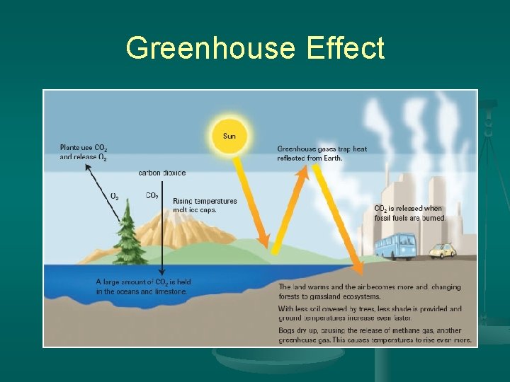 Human Impact on the Carbon Cycle 3 2