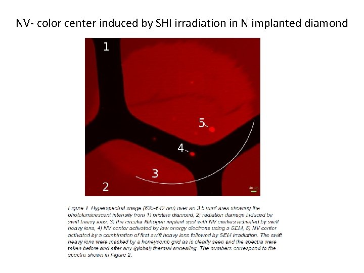 NV- color center induced by SHI irradiation in N implanted diamond 