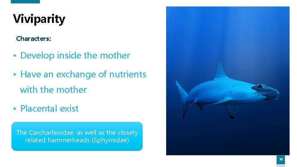 Viviparity Characters: • Develop inside the mother • Have an exchange of nutrients with Viviparity Characters: • Develop inside the mother • Have an exchange of nutrients with