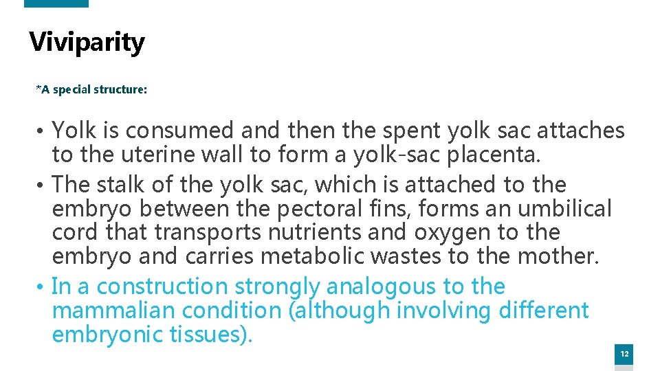 Viviparity *A special structure: • Yolk is consumed and then the spent yolk sac Viviparity *A special structure: • Yolk is consumed and then the spent yolk sac
