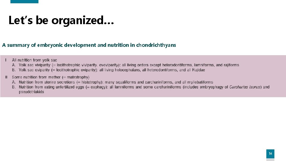 Let’s be organized… A summary of embryonic development and nutrition in chondrichthyans 14 Let’s be organized… A summary of embryonic development and nutrition in chondrichthyans 14
