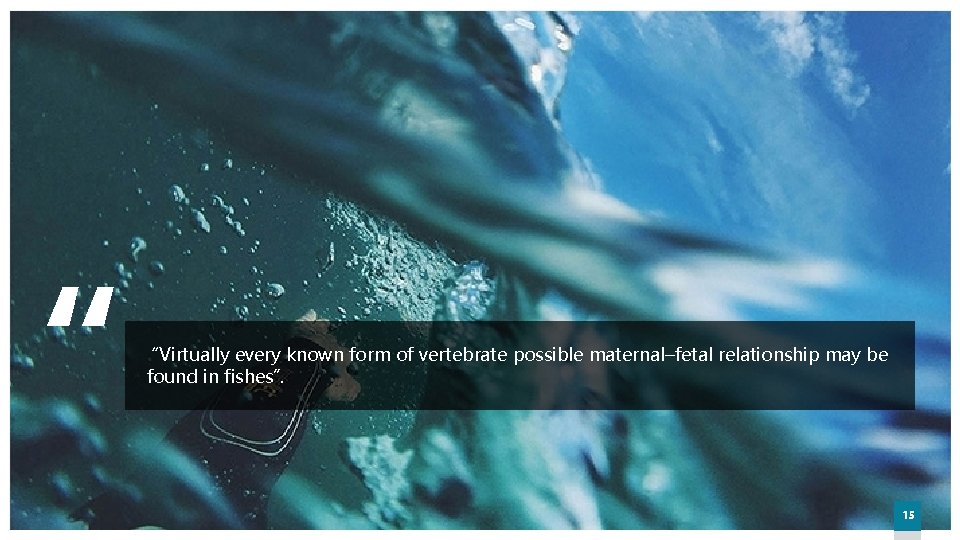 “ “Virtually every known form of vertebrate possible maternal–fetal relationship may be found in “ “Virtually every known form of vertebrate possible maternal–fetal relationship may be found in