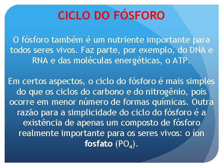 CICLO DO FÓSFORO O fósforo também é um nutriente importante para todos seres vivos.