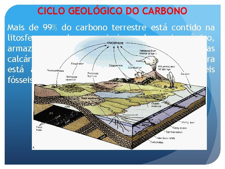CICLO GEOLÓGICO DO CARBONO Mais de 99% do carbono terrestre está contido na litosfera,