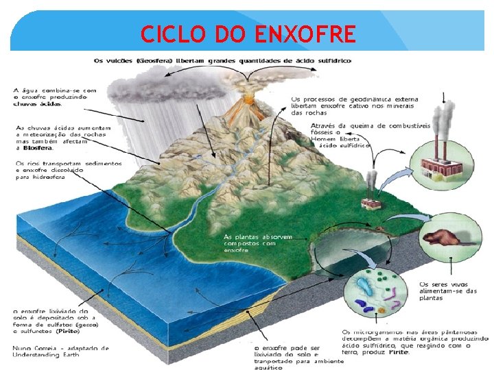 CICLO DO ENXOFRE 