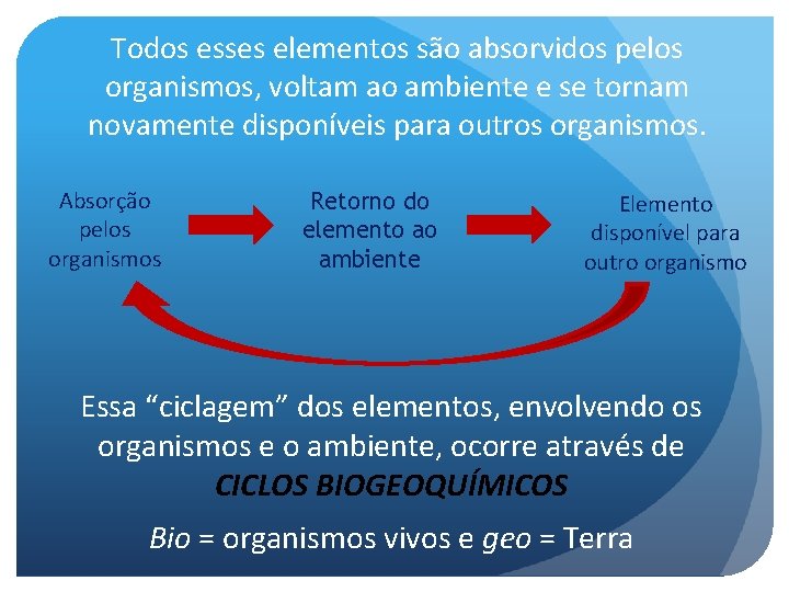 Todos esses elementos são absorvidos pelos organismos, voltam ao ambiente e se tornam novamente