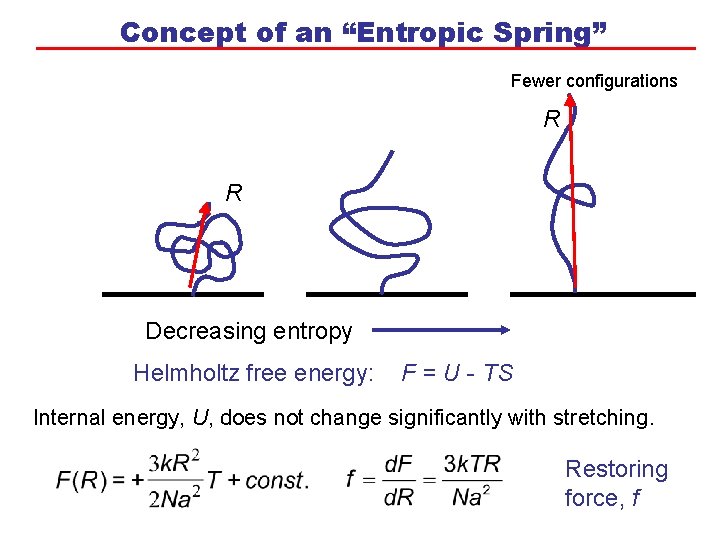 Concept of an “Entropic Spring” Fewer configurations R R Decreasing entropy Helmholtz free energy: