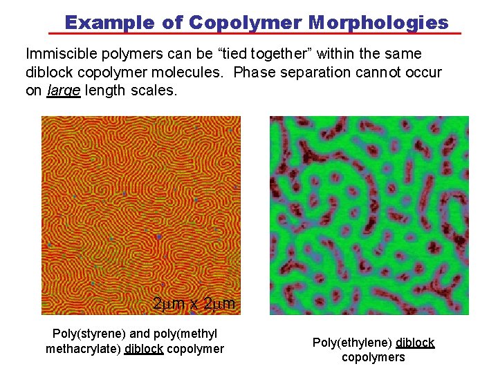 Example of Copolymer Morphologies Immiscible polymers can be “tied together” within the same diblock