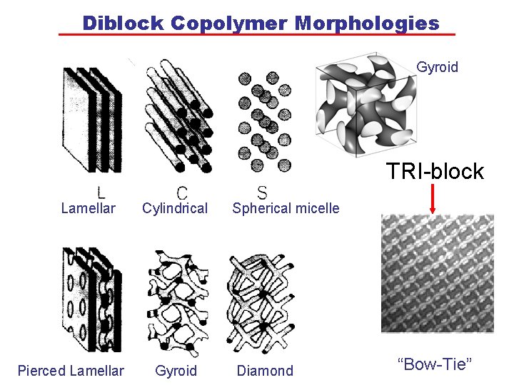 Diblock Copolymer Morphologies Gyroid TRI-block Lamellar Pierced Lamellar Cylindrical Gyroid Spherical micelle Diamond “Bow-Tie”