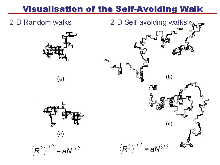 Visualisation of the Self-Avoiding Walk 2 -D Random walks 2 -D Self-avoiding walks 