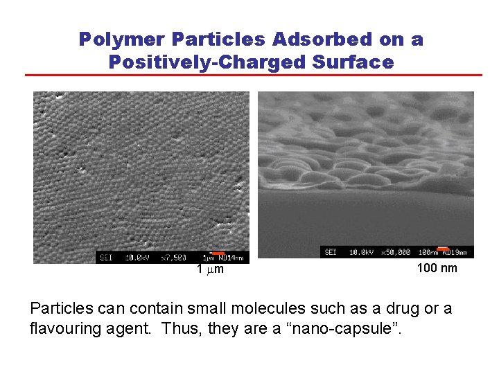 Polymer Particles Adsorbed on a Positively-Charged Surface 1 mm 100 nm Particles can contain