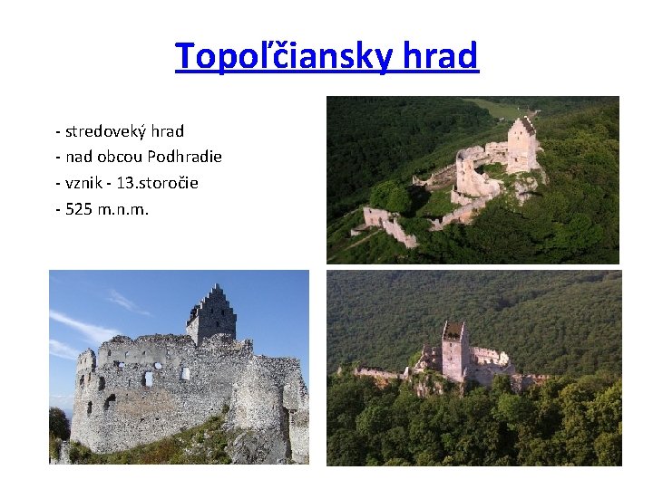 Topoľčiansky hrad - stredoveký hrad - nad obcou Podhradie - vznik - 13. storočie