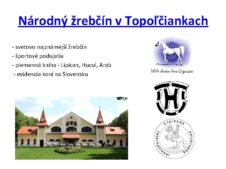 Národný žrebčín v Topoľčiankach - svetovo najznámejší žrebčín - športové podujatia - plemenná kniha