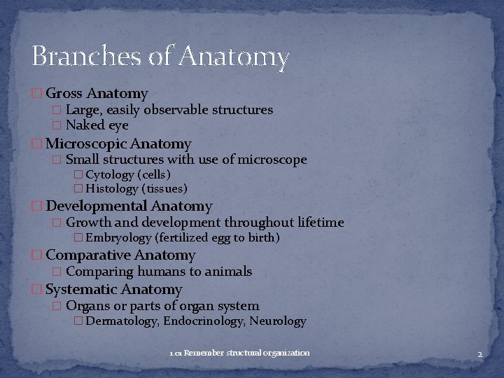 Branches of Anatomy � Gross Anatomy � Large, easily observable structures � Naked eye