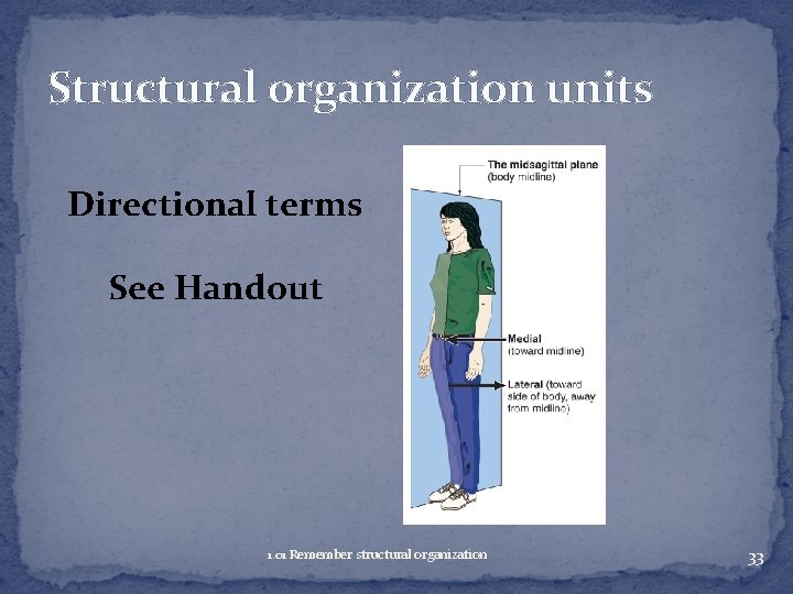 Structural organization units Directional terms See Handout 1. 01 Remember structural organization 33 