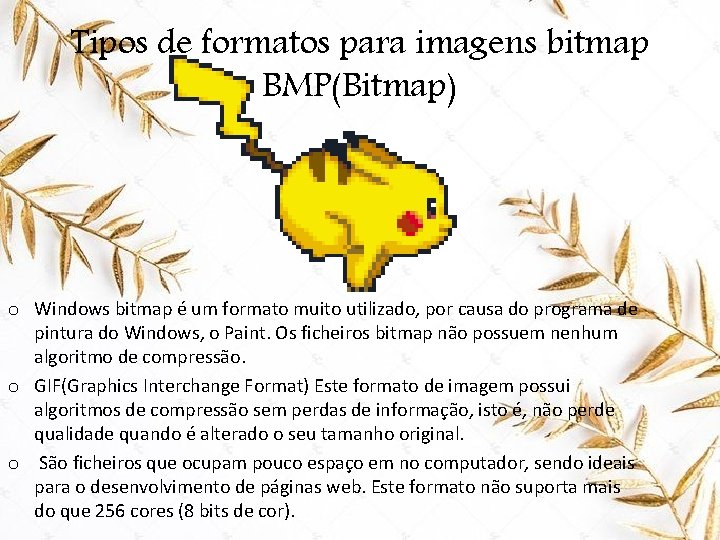 Tipos de formatos para imagens bitmap BMP(Bitmap) o Windows bitmap é um formato muito