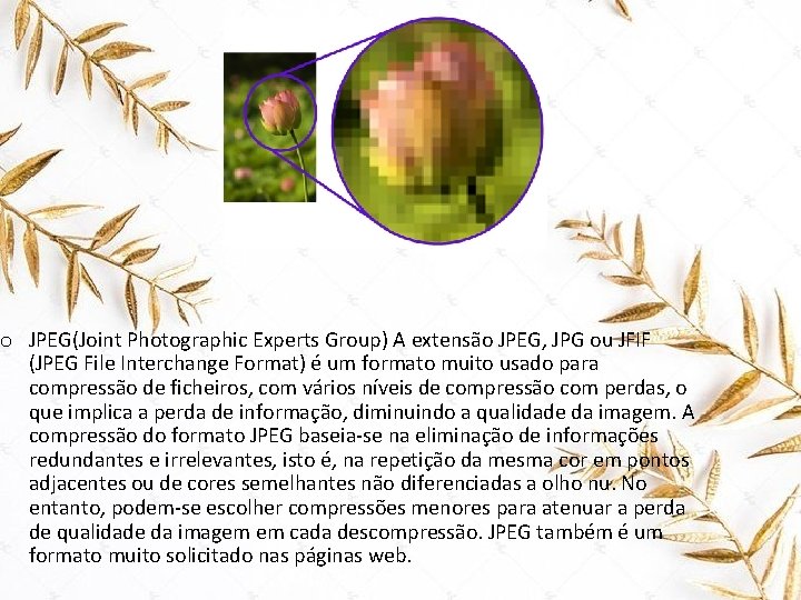 o JPEG(Joint Photographic Experts Group) A extensão JPEG, JPG ou JFIF (JPEG File Interchange