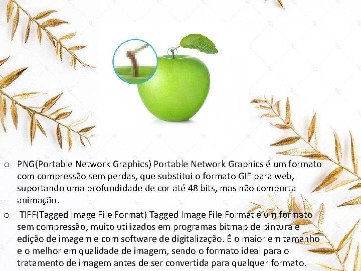 o PNG(Portable Network Graphics) Portable Network Graphics é um formato compressão sem perdas, que