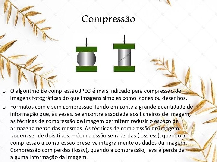 Compressão o O algoritmo de compressão JPEG é mais indicado para compressão de imagens